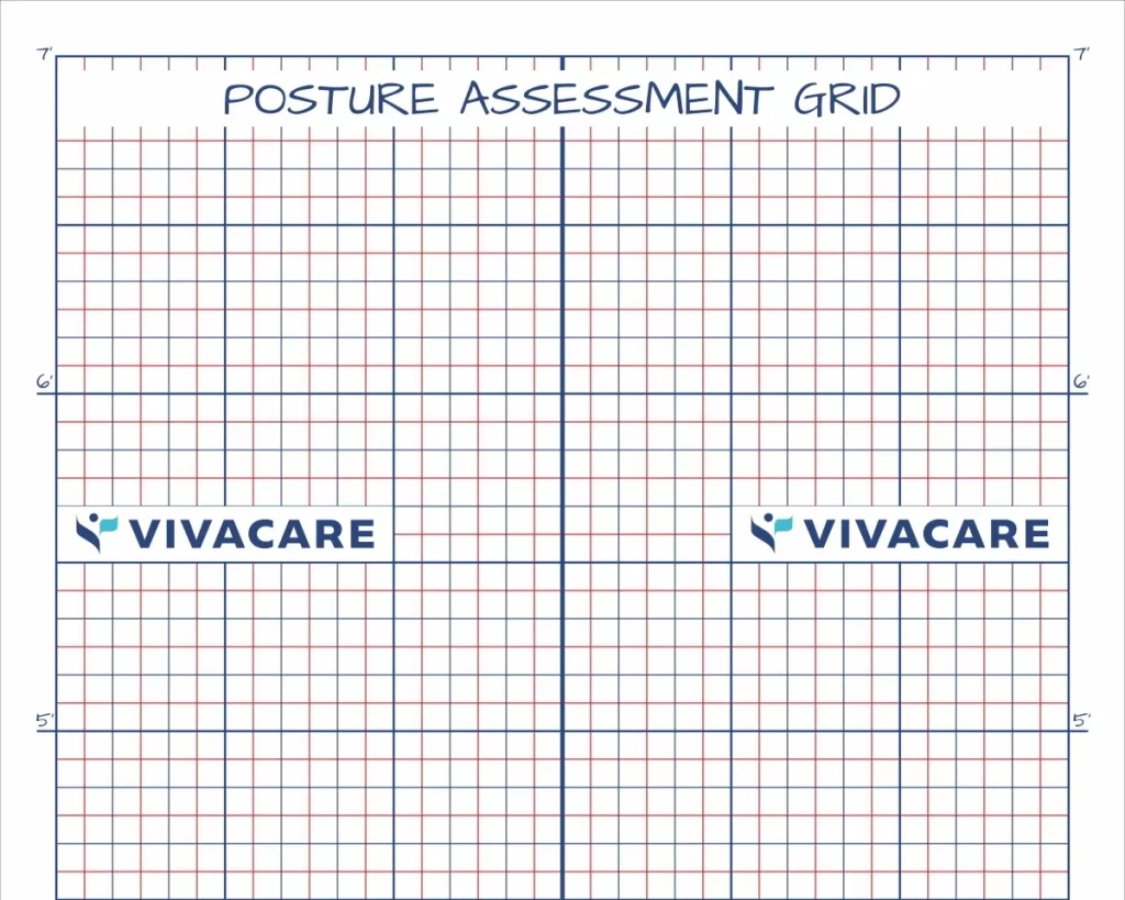 Posture Analysis at Vivacare